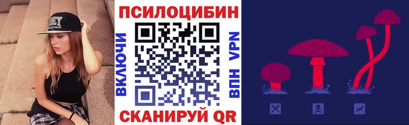 даркнет клад  купить наркотики сайты  Буинск  Галлюциногенные грибы Magic Shrooms 